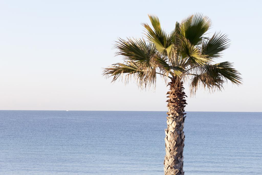 Sud Beach Hotel Fronte Mare By Ria Hotels Marina Di Pulsano Δωμάτιο φωτογραφία
